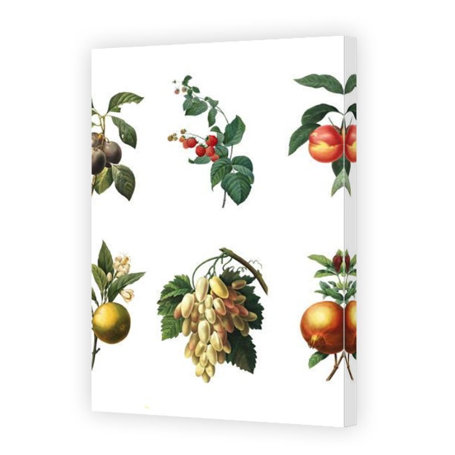 Thumbnail for Canvas - Mirror Image Canvas Wrap