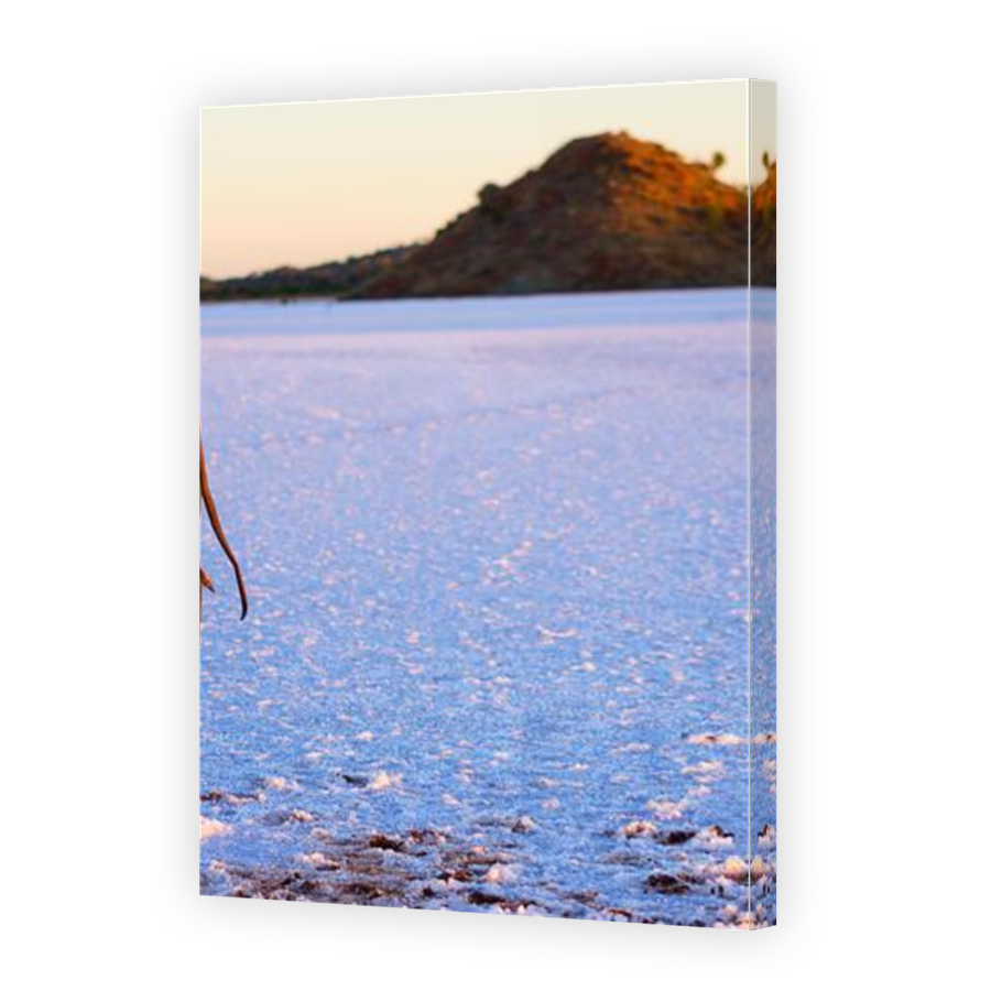 Thumbnail for Canvas - Mirror Image Canvas Wrap