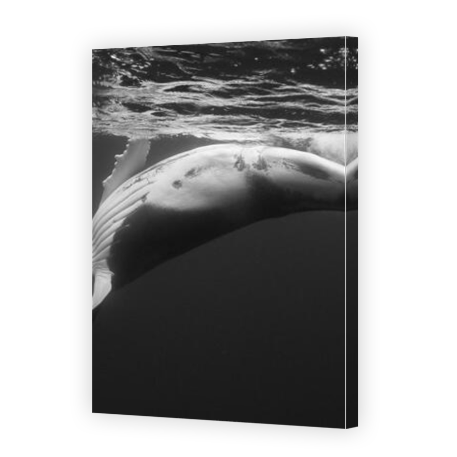 Thumbnail for Canvas - Mirror Image Canvas Wrap