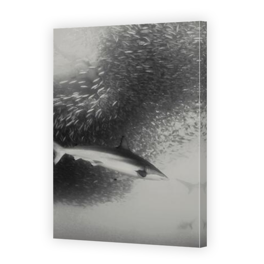 Thumbnail for Canvas - Mirror Image Canvas Wrap