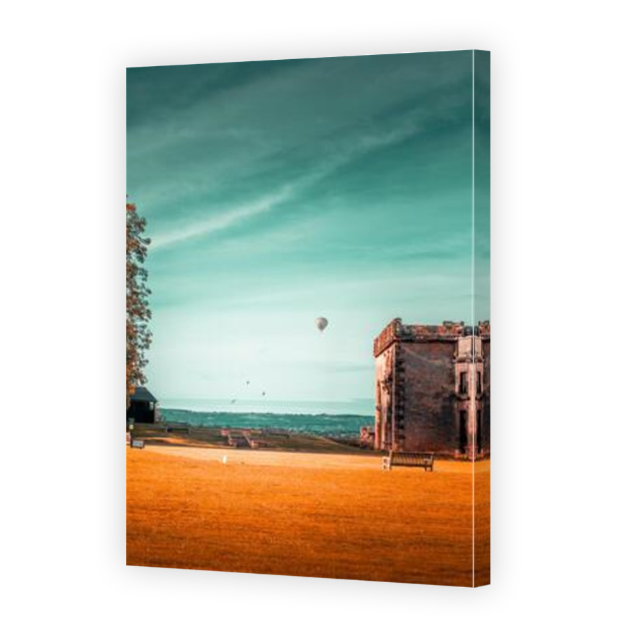 Thumbnail for Canvas - Mirror Image Canvas Wrap
