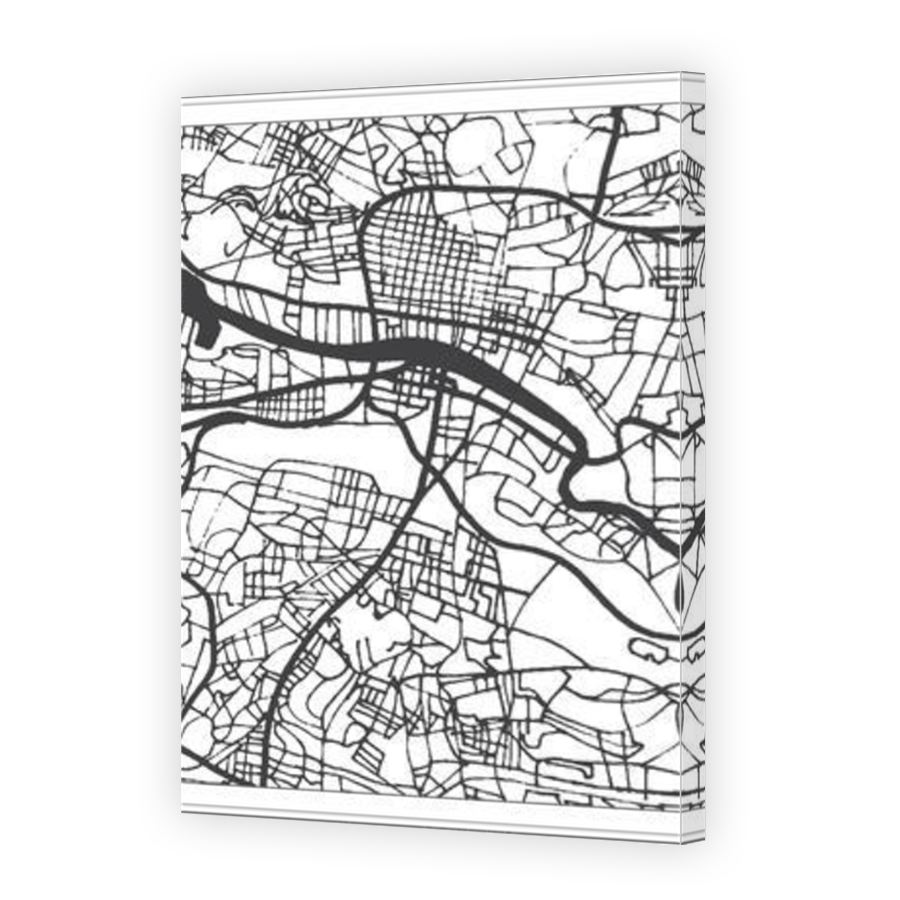 Thumbnail for Canvas - Mirror Image Canvas Wrap