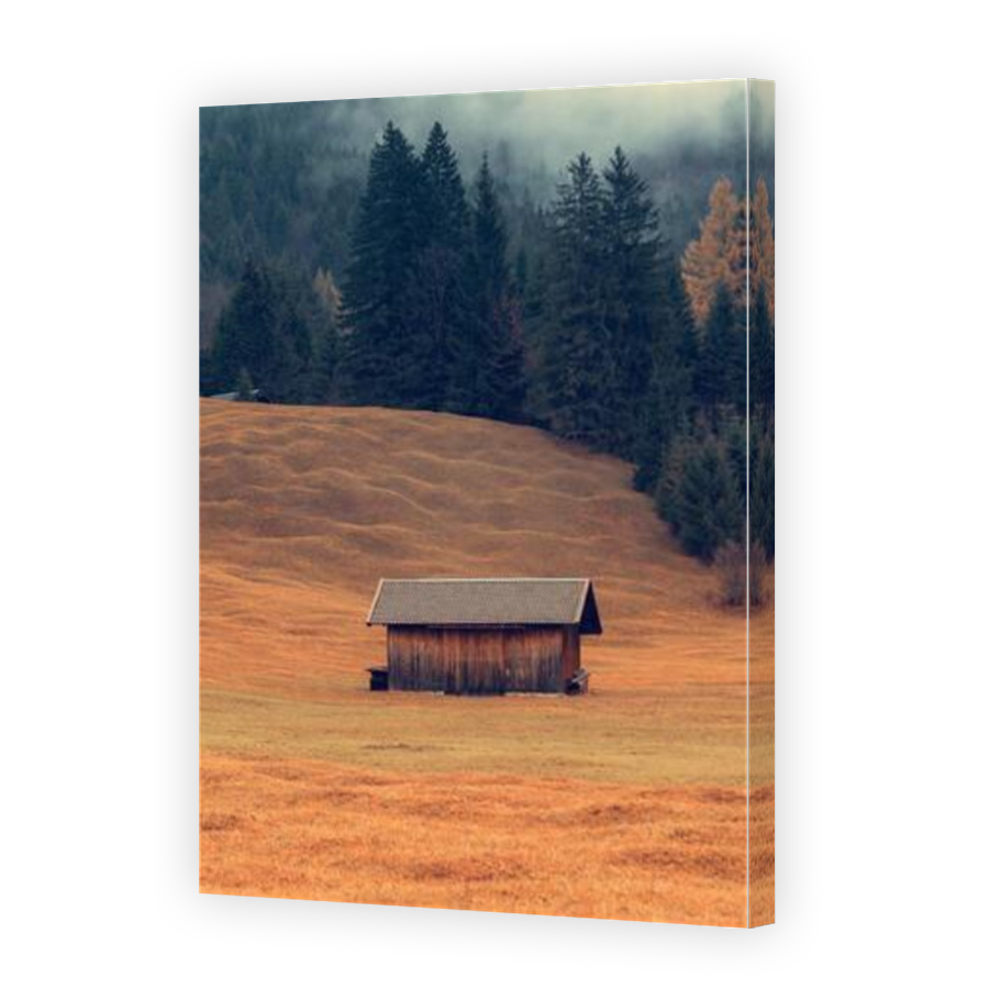 Thumbnail for Canvas - Mirror Image Canvas Wrap