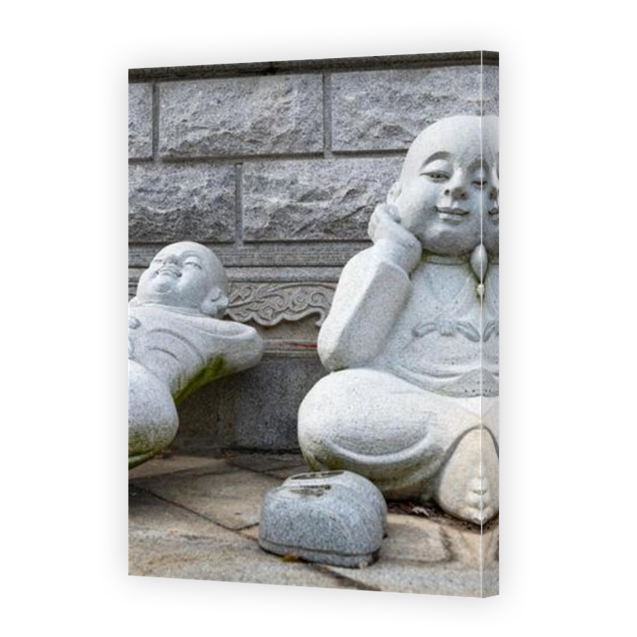 Thumbnail for Canvas - Mirror Image Canvas Wrap