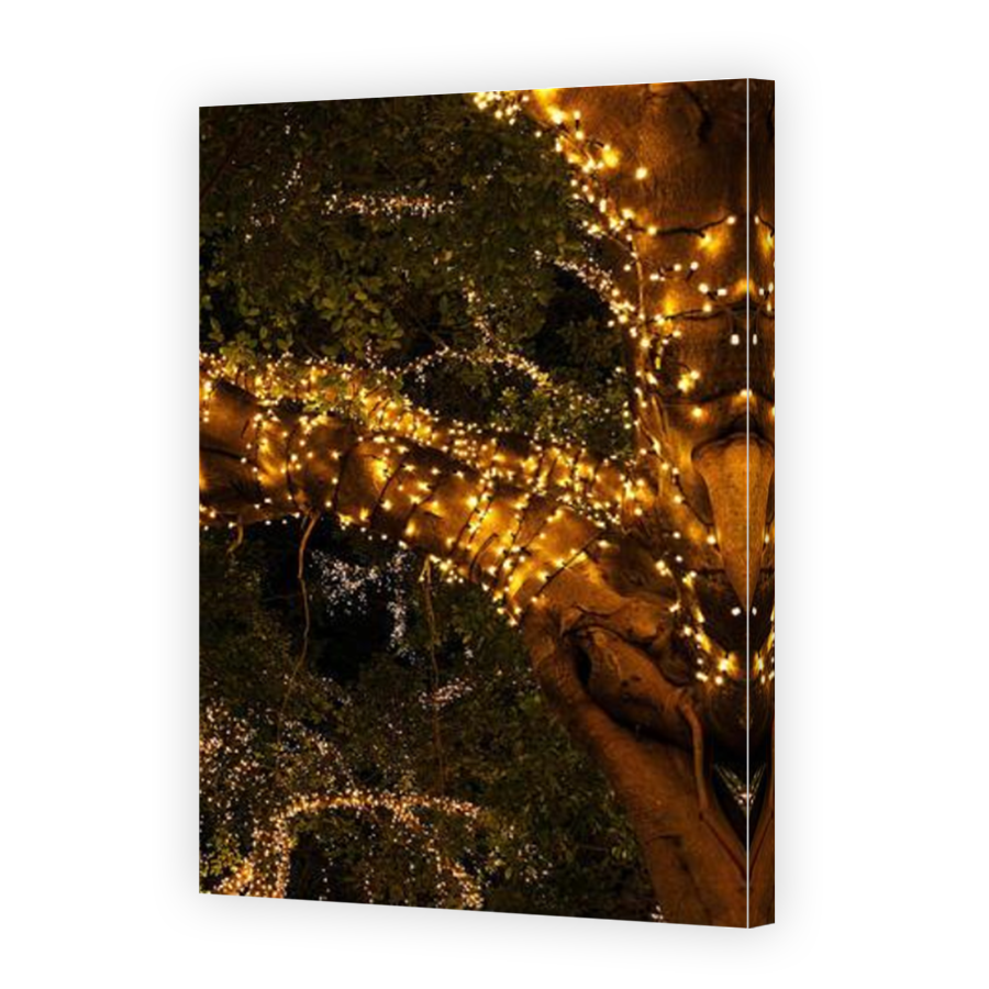 Thumbnail for Canvas - Mirror Image Canvas Wrap
