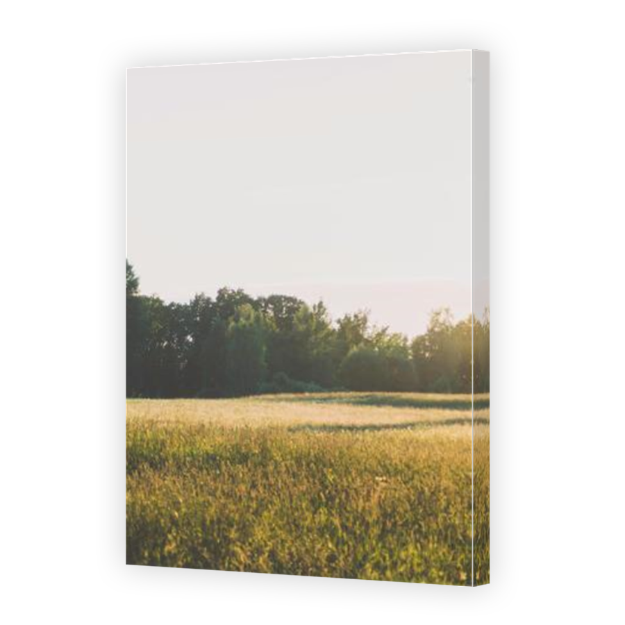 Thumbnail for Canvas - Mirror Image Canvas Wrap