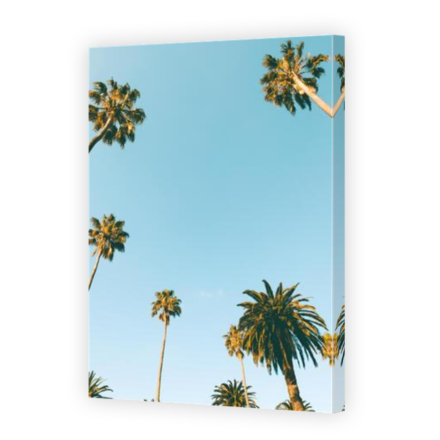 Thumbnail for Canvas - Mirror Image Canvas Wrap
