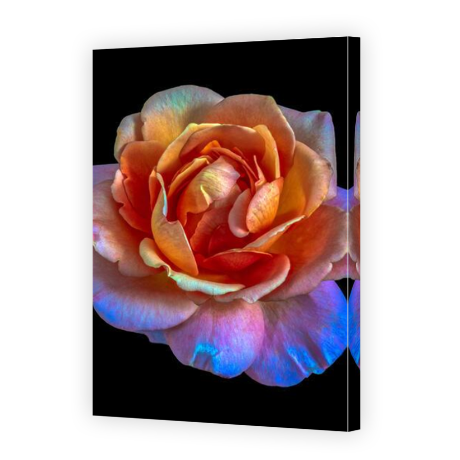 Thumbnail for Canvas - Mirror Image Canvas Wrap