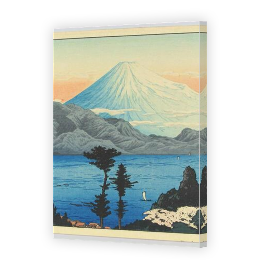 Thumbnail for Canvas - Mirror Image Canvas Wrap
