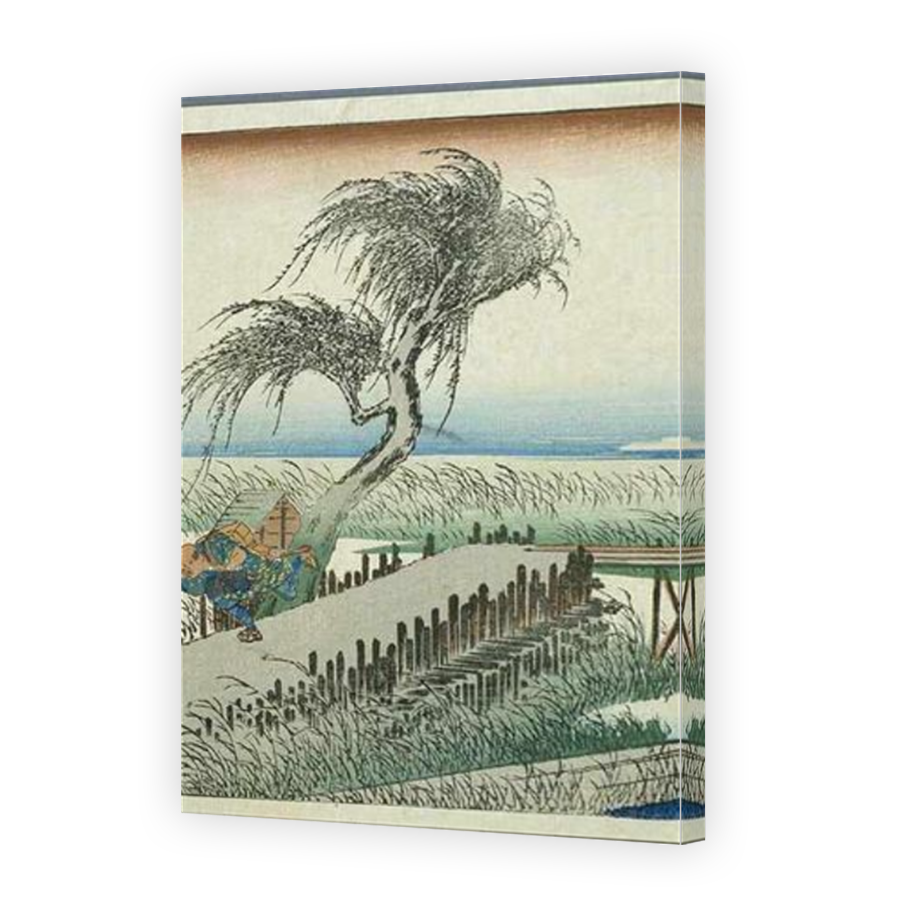 Thumbnail for Canvas - Mirror Image Canvas Wrap