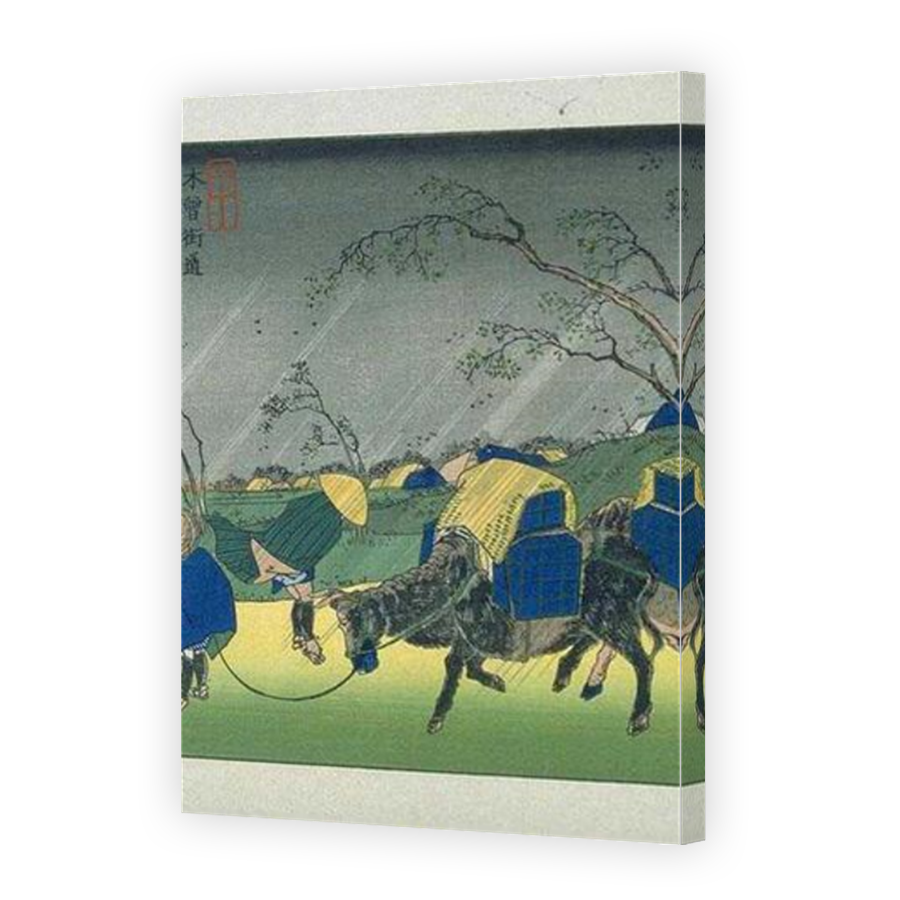 Thumbnail for Canvas - Mirror Image Canvas Wrap