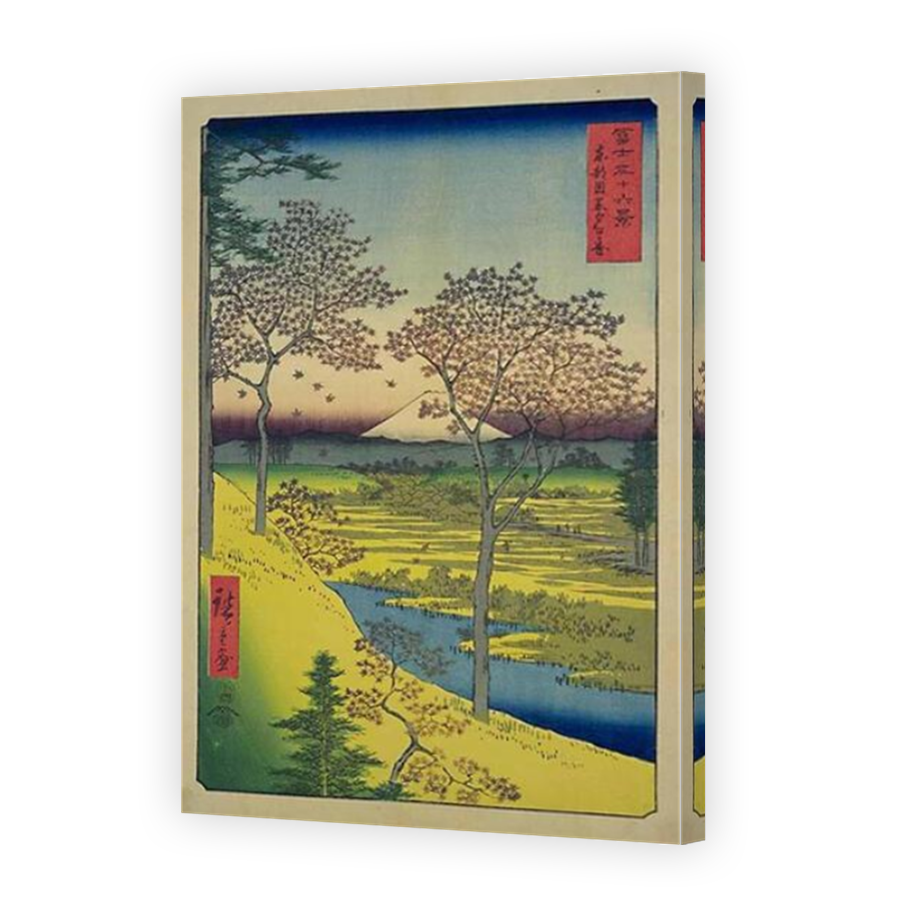 Thumbnail for Canvas - Mirror Image Canvas Wrap