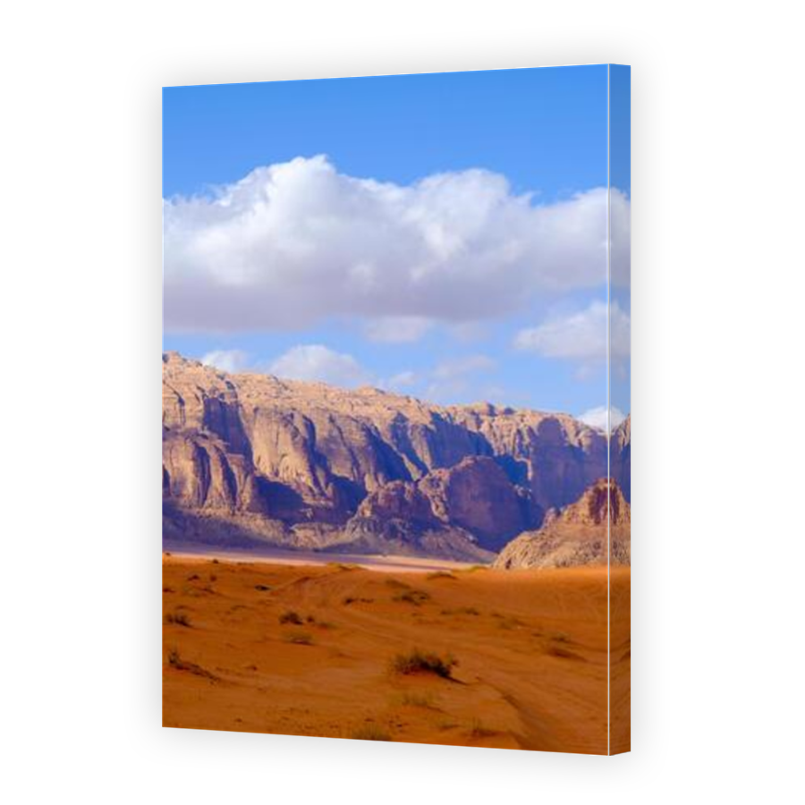 Thumbnail for Canvas - Mirror Image Canvas Wrap