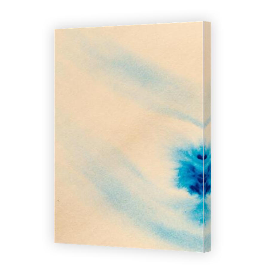 Thumbnail for Canvas - Mirror Image Canvas Wrap