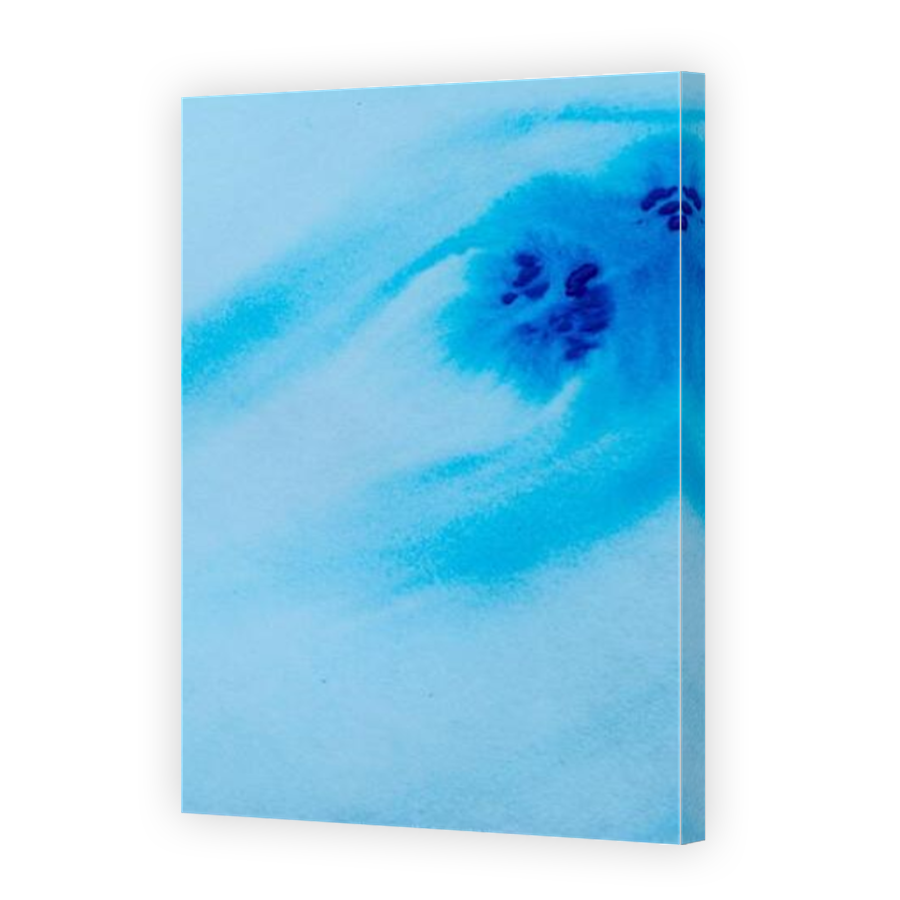 Thumbnail for Canvas - Mirror Image Canvas Wrap