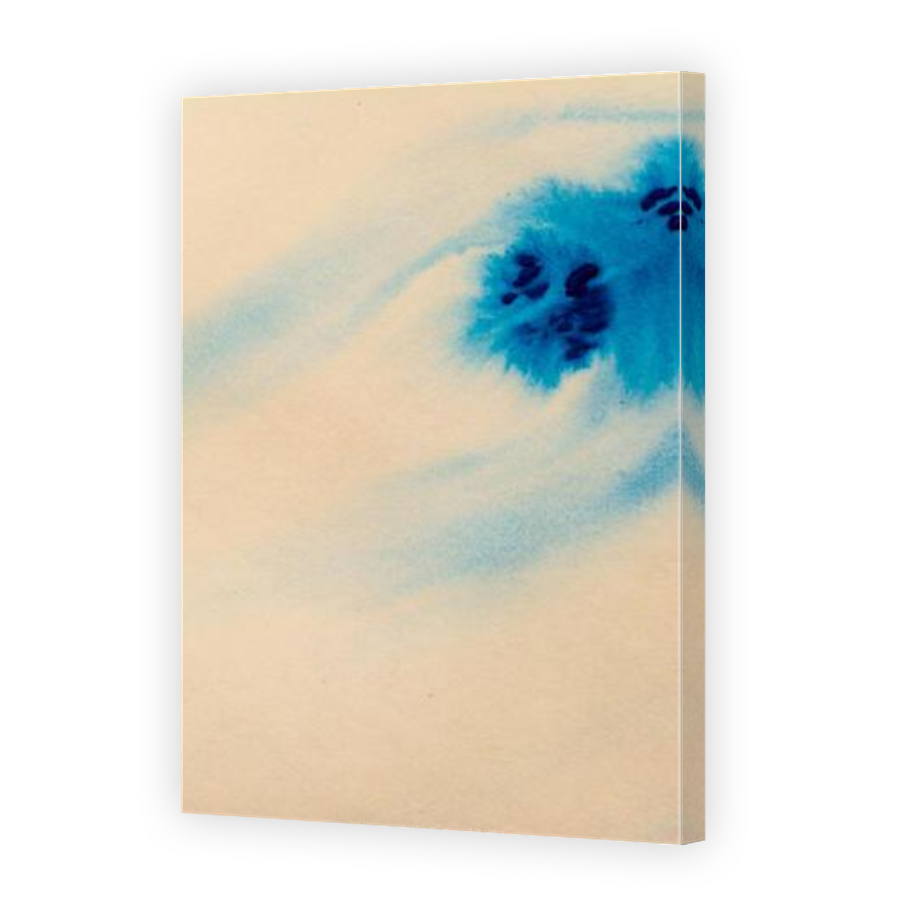 Thumbnail for Canvas - Mirror Image Canvas Wrap