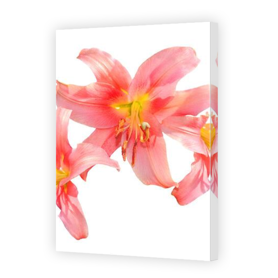 Thumbnail for Canvas - Mirror Image Canvas Wrap
