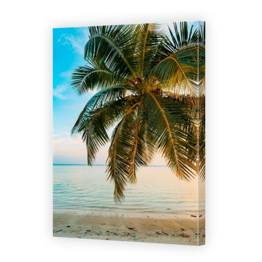 Thumbnail for Canvas - Mirror Image Canvas Wrap