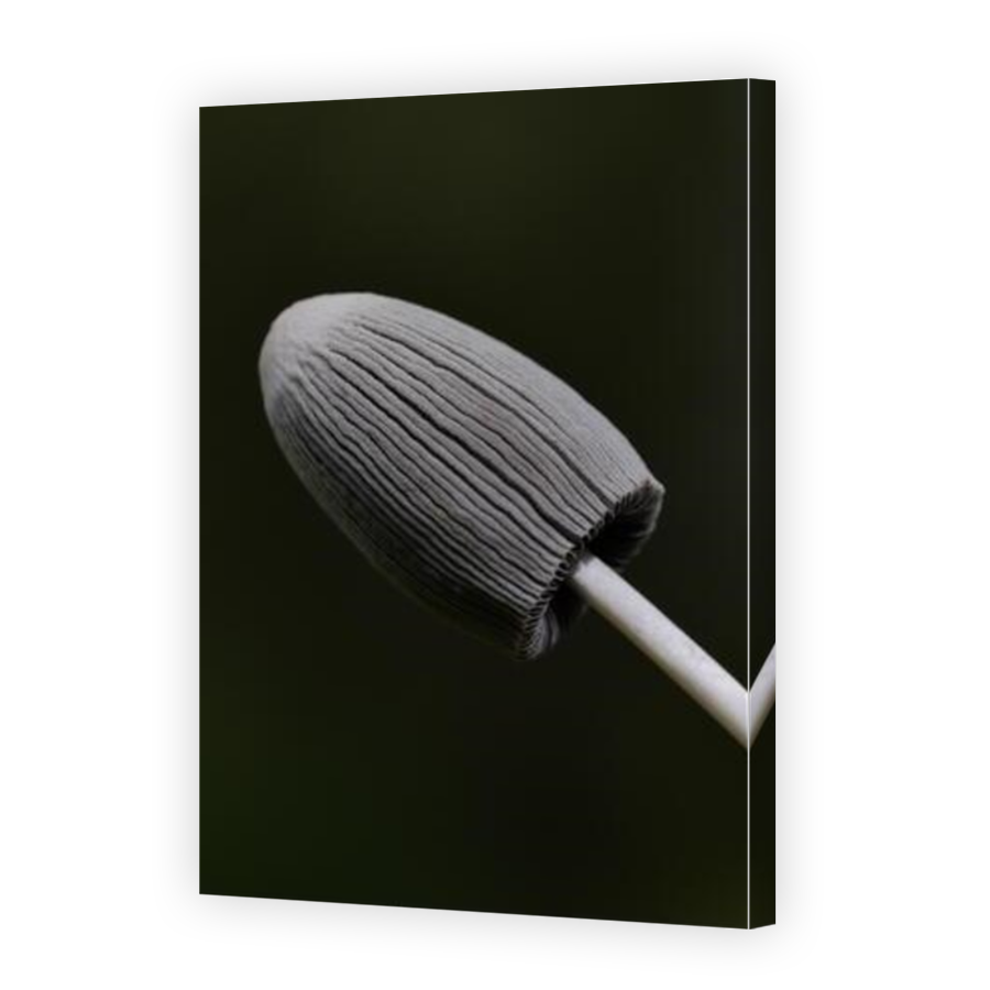 Thumbnail for Canvas - Mirror Image Canvas Wrap