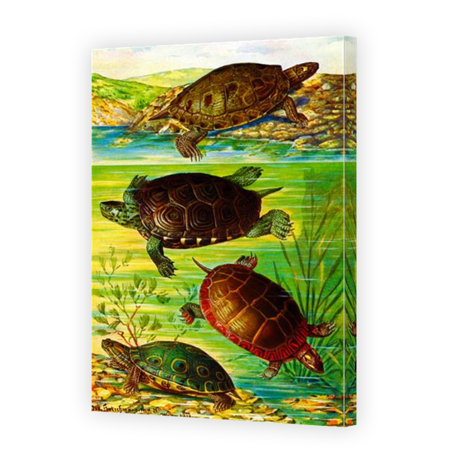 Thumbnail for Canvas - Mirror Image Canvas Wrap