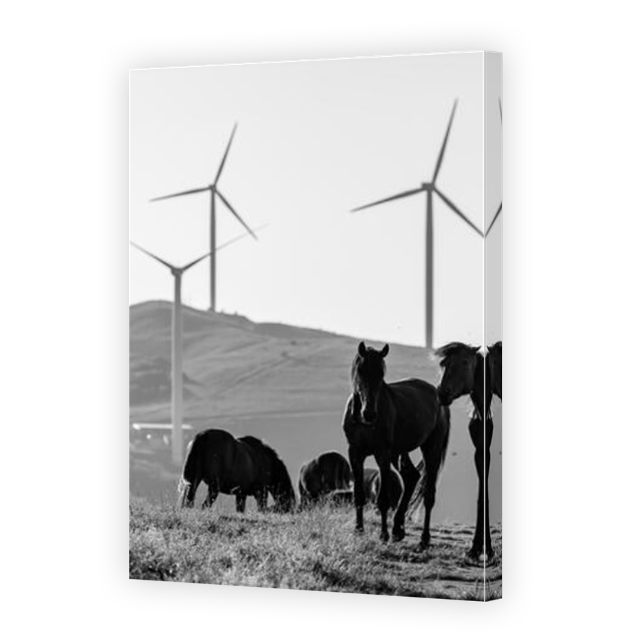 Thumbnail for Canvas - Mirror Image Canvas Wrap