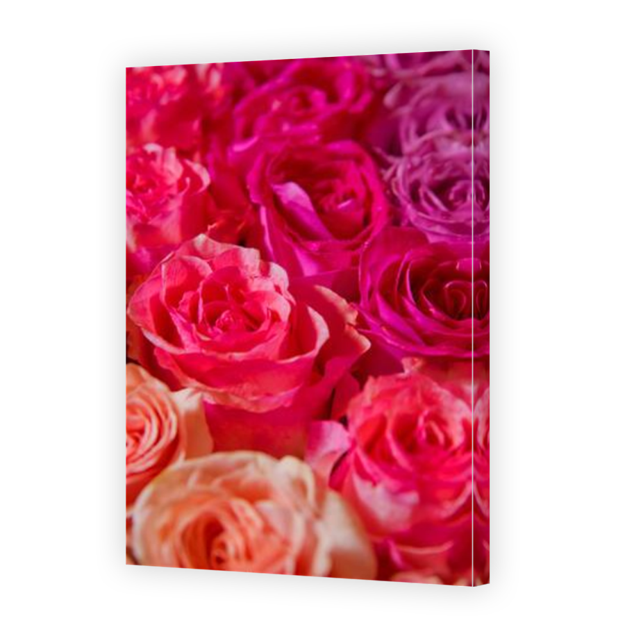 Thumbnail for Canvas - Mirror Image Canvas Wrap