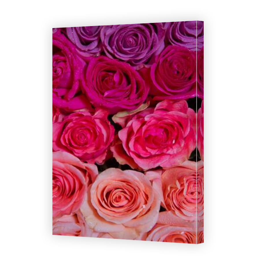 Thumbnail for Canvas - Mirror Image Canvas Wrap