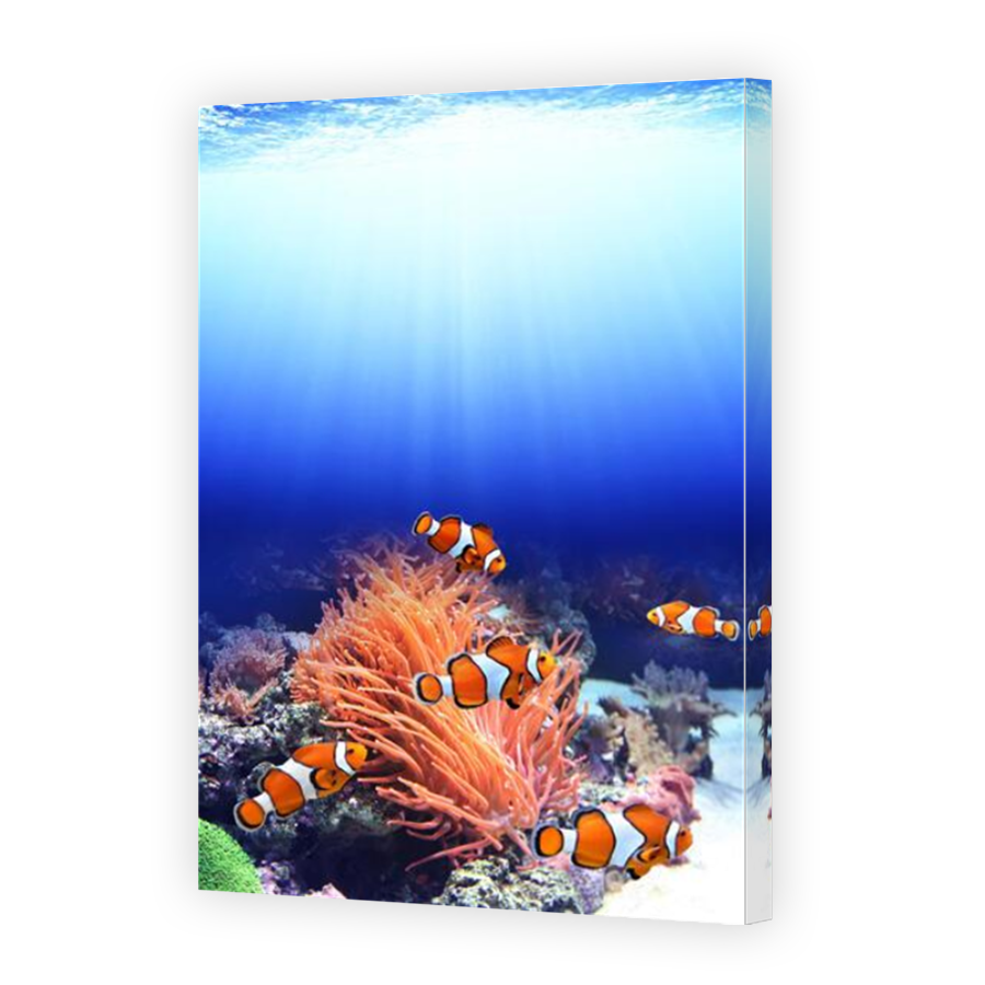 Thumbnail for Canvas - Mirror Image Canvas Wrap