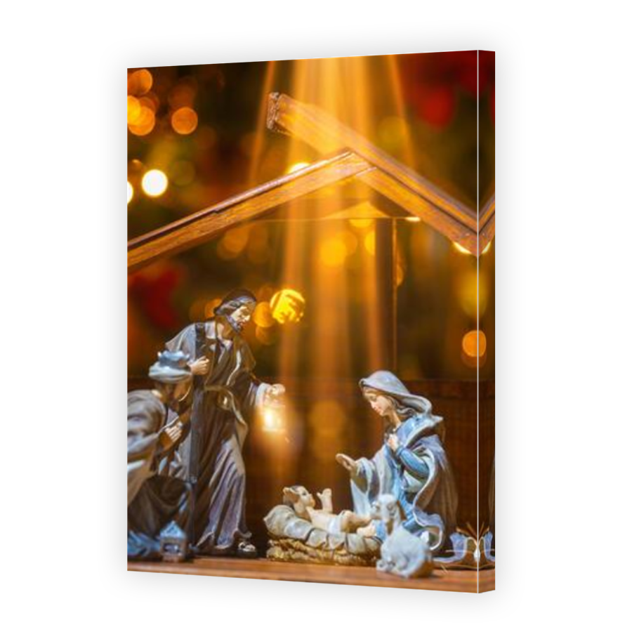 Thumbnail for Canvas - Mirror Image Canvas Wrap