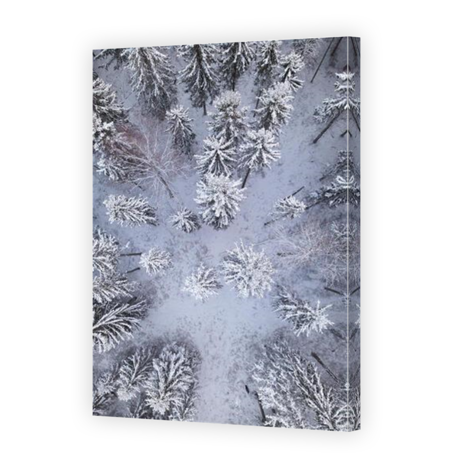 Thumbnail for Canvas - Mirror Image Canvas Wrap