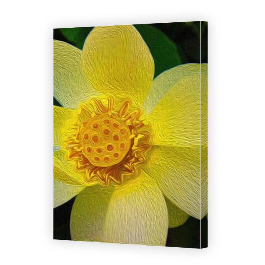 Thumbnail for Canvas - Mirror Image Canvas Wrap
