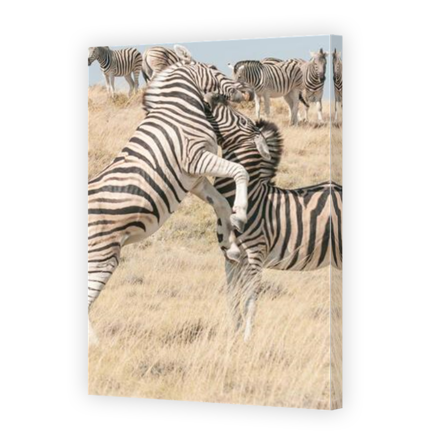 Thumbnail for Canvas - Mirror Image Canvas Wrap