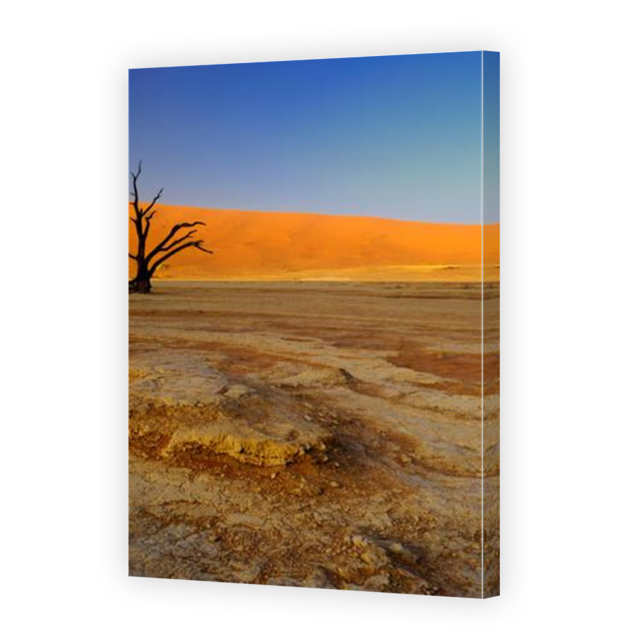 Thumbnail for Canvas - Mirror Image Canvas Wrap