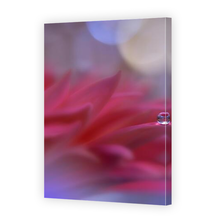 Thumbnail for Canvas - Mirror Image Canvas Wrap