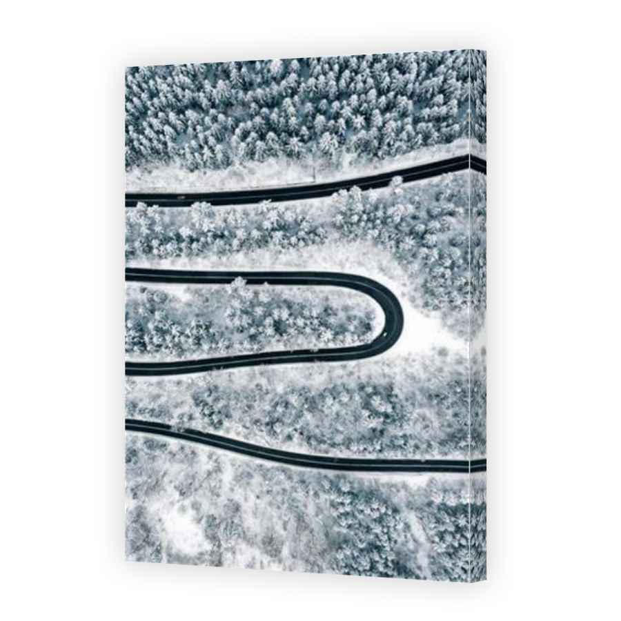 Thumbnail for Canvas - Mirror Image Canvas Wrap