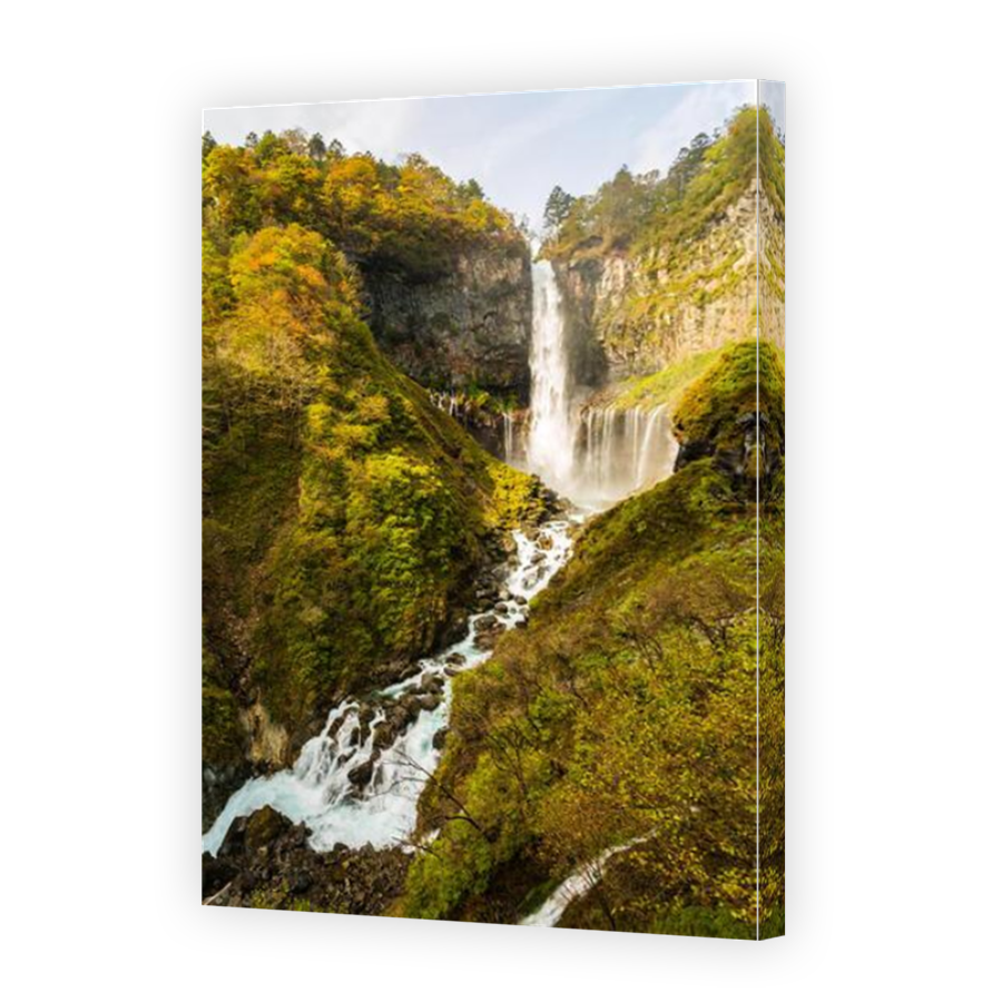 Thumbnail for Canvas - Mirror Image Canvas Wrap