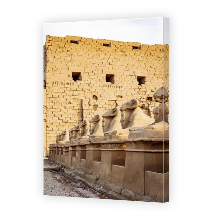 Thumbnail for Canvas - Mirror Image Canvas Wrap