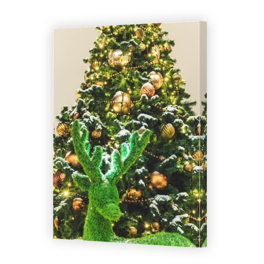 Thumbnail for Canvas - Mirror Image Canvas Wrap