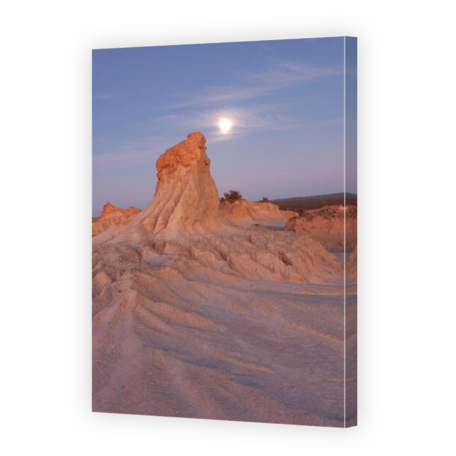 Thumbnail for Canvas - Mirror Image Canvas Wrap