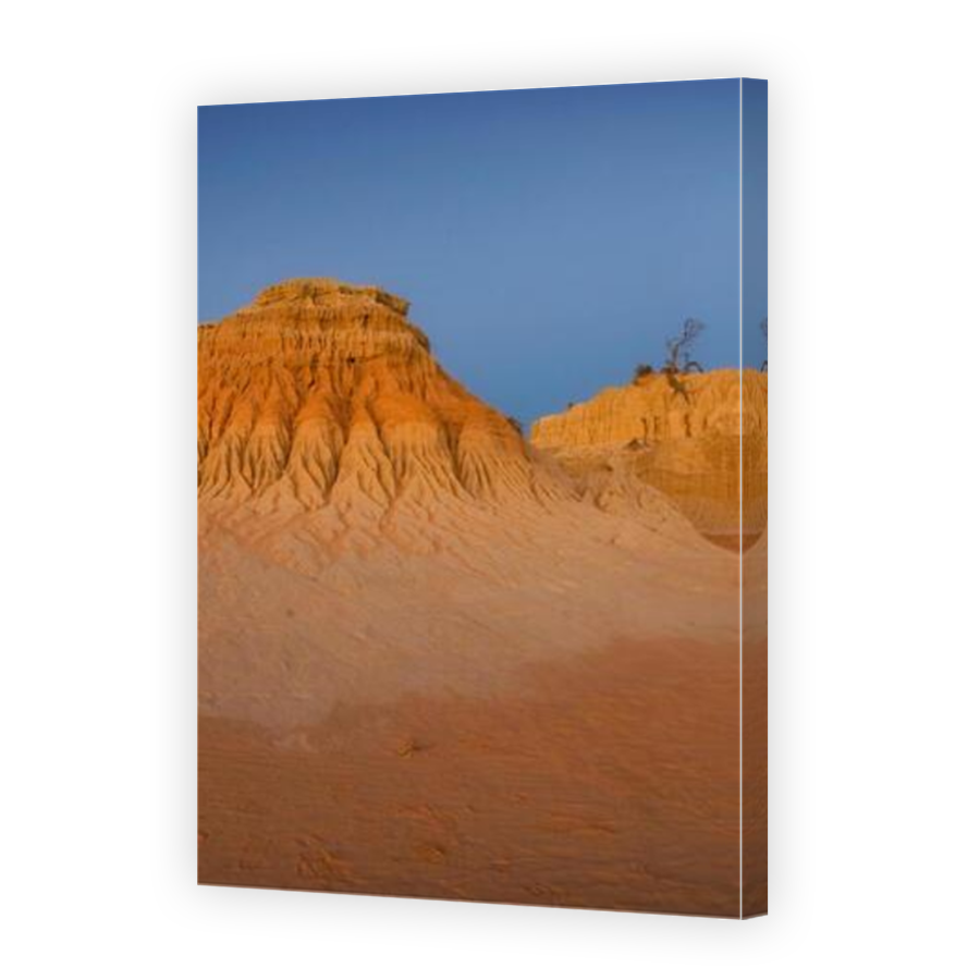Thumbnail for Canvas - Mirror Image Canvas Wrap