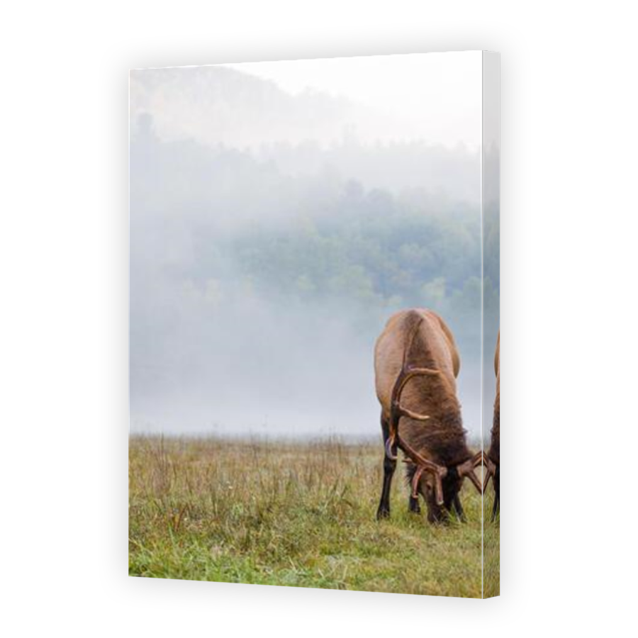 Thumbnail for Canvas - Mirror Image Canvas Wrap