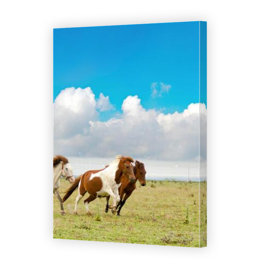 Thumbnail for Canvas - Mirror Image Canvas Wrap