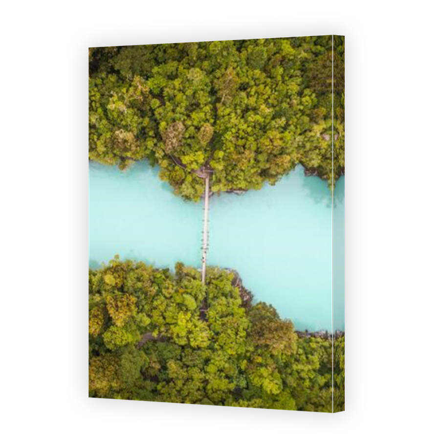 Thumbnail for Canvas - Mirror Image Canvas Wrap