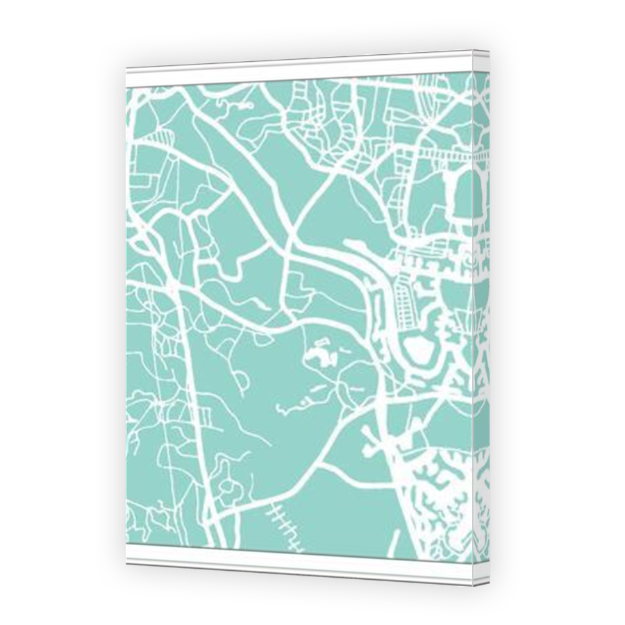 Thumbnail for Canvas - Mirror Image Canvas Wrap