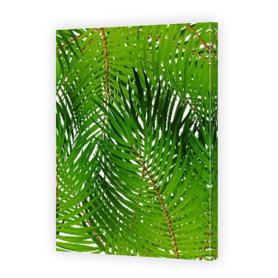 Thumbnail for Canvas - Mirror Image Canvas Wrap