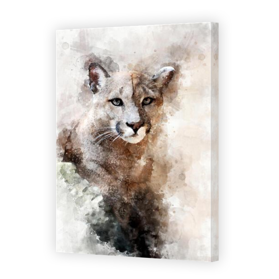 Thumbnail for Canvas - Mirror Image Canvas Wrap