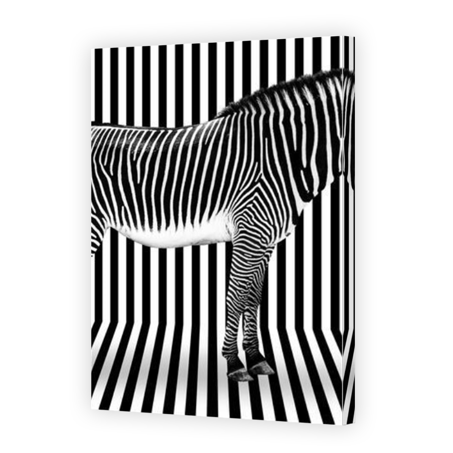 Thumbnail for Canvas - Mirror Image Canvas Wrap