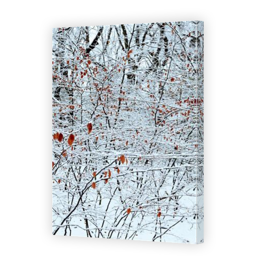 Thumbnail for Canvas - Mirror Image Canvas Wrap