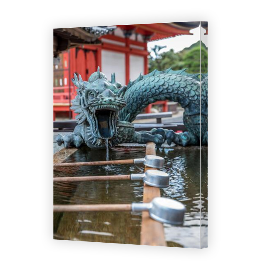 Thumbnail for Canvas - Mirror Image Canvas Wrap