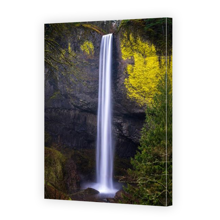 Thumbnail for Canvas - Mirror Image Canvas Wrap